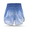 Booster x Fairtex Fade Muay Thai Kickboxing Shorts in multiple colors.