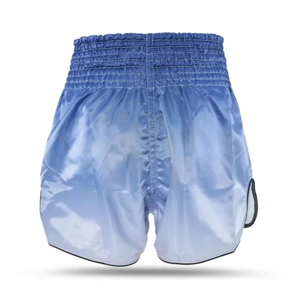 Booster x Fairtex Fade Muay Thai Kickboxing Shorts in multiple colors.