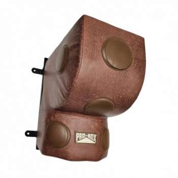 Pro-Box Vintage Uppercut Wall Pad in a gym setting