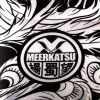 Tatami Fightwear Phoenix Rising Rashguard White Black 1 Tatami Fightwear Phoenix Rising Rashguard in a sleek and stylish design