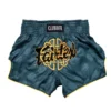 Fairtex BS1915 Clubber Muay Thai Shorts in Green/Blue - product image