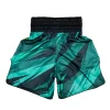 Fairtex Boxing Shorts Two-Tone BT2007 - Green in Green — back view
