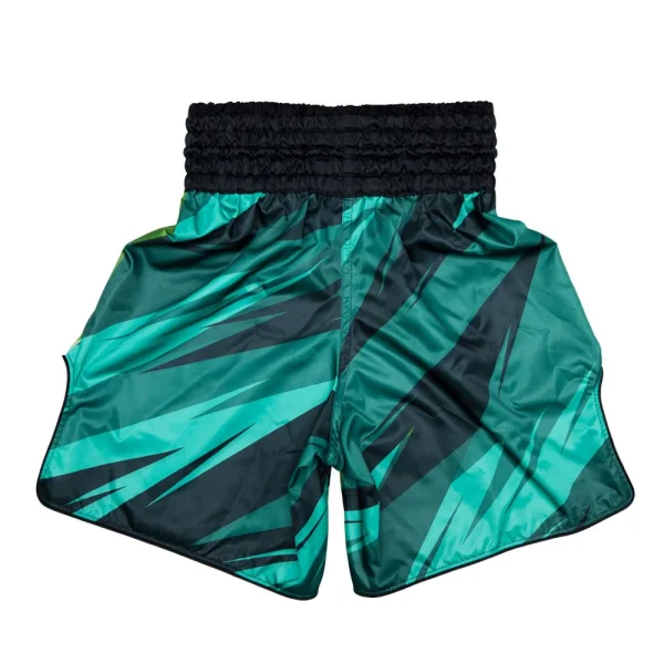 Fairtex Boxing Shorts Two-Tone BT2007 - Green in Green — back view