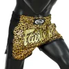 Fairtex BS1709 Leopard Muay Thai Shorts - Leopard in Leopard — front view