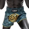 Fairtex BS1915 Clubber Muay Thai Shorts - Green/Blue in Green/Blue — rear print
