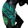 Fairtex Deep Forrest Muay Thai Shorts - Green in Green — back view