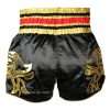 Twins Special Muay Thai Shorts TWS-154 - Black/Gold in Black/Gold — rear print