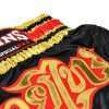Twins Special Muay Thai Shorts TWS-154 - Black/Gold in Black/Gold — side profile