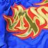 Twins Special Traditional Dragon Muay Thai Shorts TWS-152 - Blue/Gold in Blue/Gold — back view
