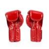 Fairtex Boxing Glove BGV5 - Red in Red — logo close‑up