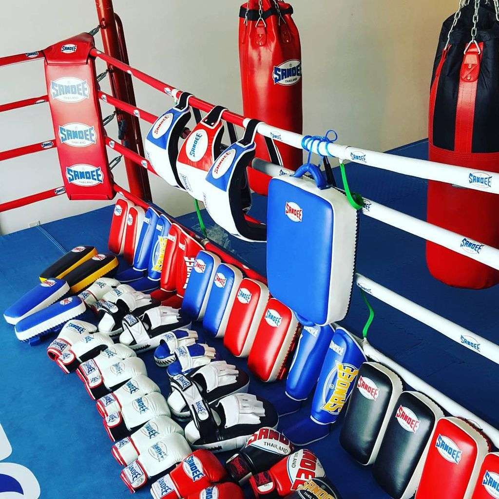 pads-sndee-thai An image showing an array of Sandee brand Thai Kick pads