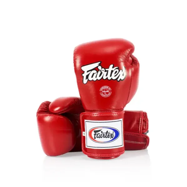 Fairtex Boxing Glove BGV5 product image