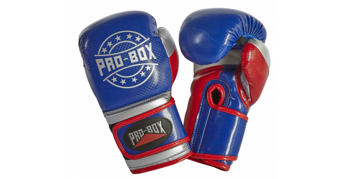 Pro-Box Champ Boxing Gloves