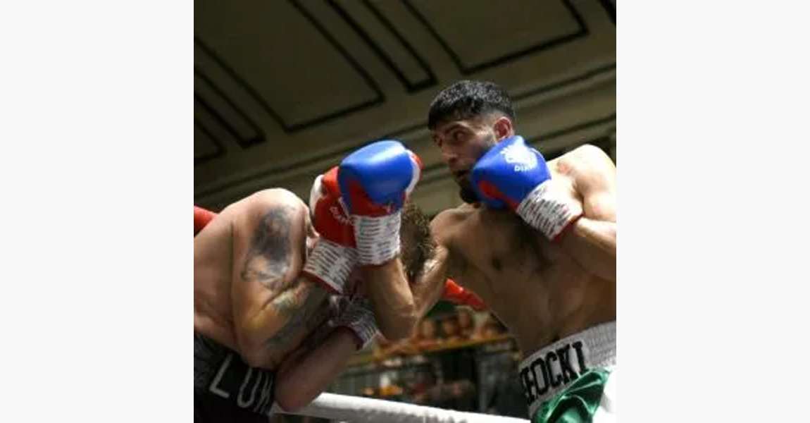 Twins Special BGVL3 Boxing Gloves