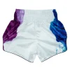 bs1950-fairtex-white-tech-house-muaythai-shorts-2 Fairtex BS1950 Tech House Muay Thai Shorts White back view elastic waistband