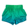 Fairtex BS1953 Quantum Muay Thai Shorts back view waistband