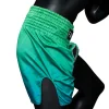 Side model wearing Fairtex BS1953 Quantum Muay Thai Shorts