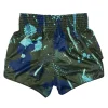 Fairtex BS1954 Matrix Muay Thai Shorts back view waistband