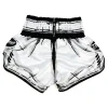 Twins Special Comic Muay Thai Shorts back view Muay Thai shorts