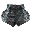 Twins Special Rangda Muay Thai Shorts back view for Muay Thai training