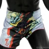 Fairtex BS1909 Muay Thai Shorts in Black – front view Fairtex BS1909 Muay Thai Shorts in Grey – front view