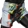 Fairtex BS1909 Muay Thai Shorts in Black – view 2 Fairtex BS1909 Muay Thai Shorts in Grey – view 2