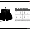 Fairtex BS1909 Muay Thai Shorts in Black – view 4 Fairtex BS1909 Muay Thai Shorts in Grey – view 4